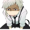 Bungo stray dogs 14