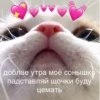Lalala_7777 (lalalend_5)2.0 :: 11