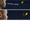 шевацитатникпак @sheva_quotes 16