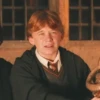 Harry Potter 17