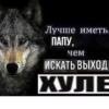 Be a wolf @stickersb2b 7