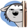 Chuck the Husky 14