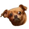 Dogs 7