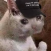 Crying cats v. 2 25