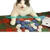 Crying cats v. 2 26
