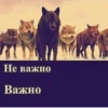 Be a wolf @stickersb2b 9