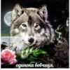 Be a wolf @stickersb2b 11