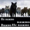 Be a wolf @stickersb2b 12