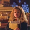 Harry Potter 20
