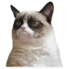 Crying cats v. 2 28