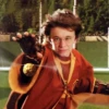 Harry Potter 22
