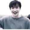 °🦕 bangchan @wwertyil :: @fStikBot 26