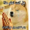 Arab Shitpost 26