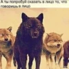 Be a wolf @stickersb2b 16