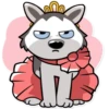 Chuck the Husky 19