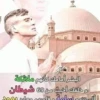 Arab Shitpost 29