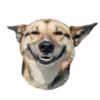 Dogs 12