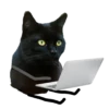 Black Cat @TVstickers 7