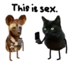 Black Cat @TVstickers 8