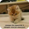 Больше стиков тYт: @stikery4 8