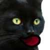 Black Cat @TVstickers 9