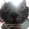 Больше стиков тYт: @stikery4 9