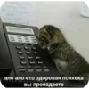 Больше стиков тYт: @stikery4 12
