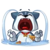 Archie the Dog 7