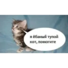 Больше стиков тYт: @stikery4 13