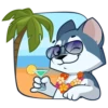 Archie the Dog 8