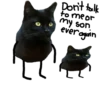 Black Cat @TVstickers 18