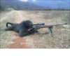 Monkey Funtime 5
