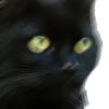 Black Cat @TVstickers 20