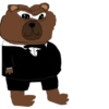 ?️o?️o the Bear [@nazbolnow] 14