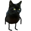 Black Cat @TVstickers 24