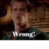Arnie quotes 20