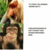 Monkey Funtime 8