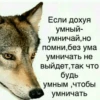 @hollow_white's pack 6 23