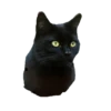 Black Cat @TVstickers 29