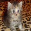 Стики 7411 из @Anonymnyi_chat_bot 25