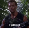 Arnie quotes 23