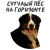 (@StickersHyickers) БYкин 19
