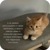 Больше стиков тYт: @stikery4 28