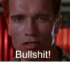 Arnie quotes 27
