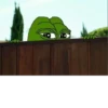 Pepes BR by J^3 30