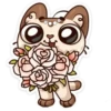 Zorrito amoroso💞1🇵🇪Clásica 6
