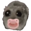 🐹hámster triste 3 🐹 5