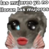 🐹 hámster triste 2🐹 6