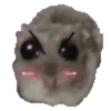 🐹 hámster triste 2🐹 7