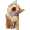 Michis meme 🐱❤️ 7